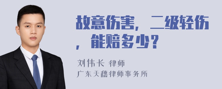 故意伤害，二级轻伤，能赔多少？