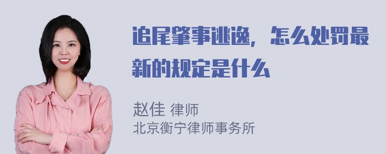 追尾肇事逃逸，怎么处罚最新的规定是什么