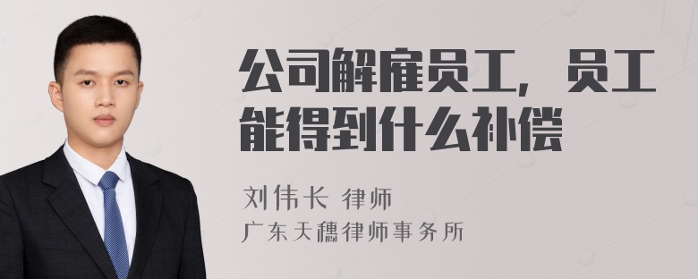 公司解雇员工，员工能得到什么补偿