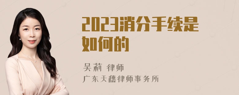 2023消分手续是如何的