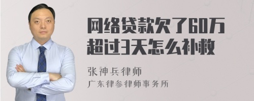 网络贷款欠了60万超过3天怎么补救