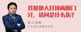 我被他人打掉两颗门牙，请问是什么伤？