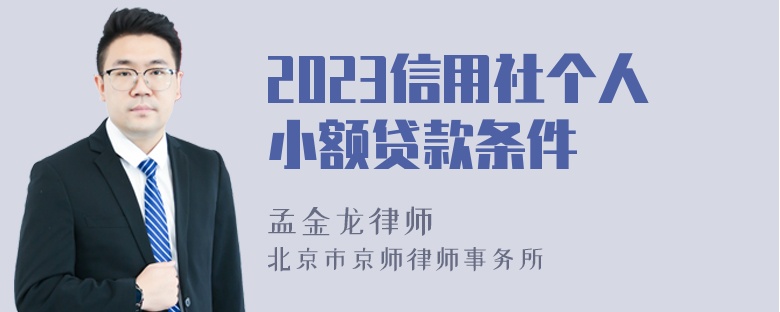 2023信用社个人小额贷款条件