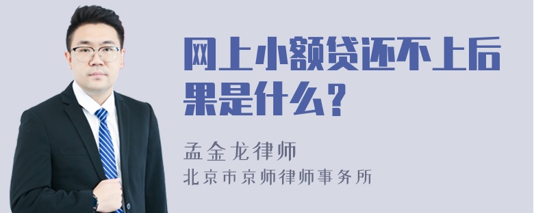 网上小额贷还不上后果是什么？