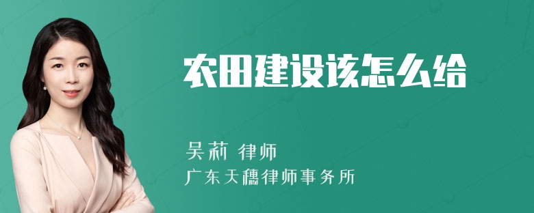 农田建设该怎么给