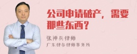 公司申请破产，需要那些东西？