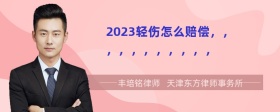 2023轻伤怎么赔偿，，，，，，，，，，，