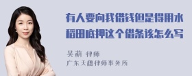 有人要向我借钱但是得用水稻田底押这个借条该怎么写