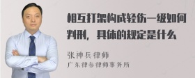 相互打架构成轻伤一级如何判刑，具体的规定是什么