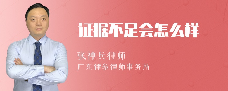 证据不足会怎么样