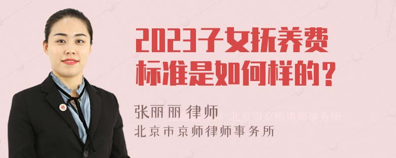 2023子女抚养费标准是如何样的？