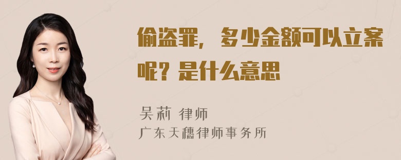 偷盗罪，多少金额可以立案呢？是什么意思