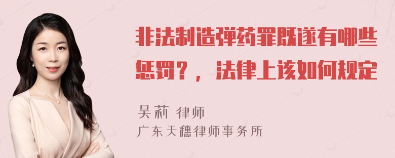 非法制造弹药罪既遂有哪些惩罚？，法律上该如何规定