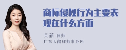 商标侵权行为主要表现在什么方面