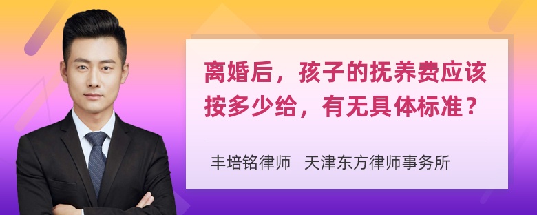 离婚后，孩子的抚养费应该按多少给，有无具体标准？