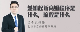 楚雄起诉离婚程序是什么，流程是什么