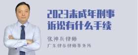 2023未成年刑事诉讼有什么手续