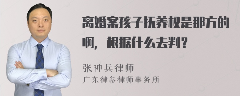 离婚案孩子抚养权是那方的啊，根据什么去判？