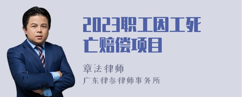 2023职工因工死亡赔偿项目