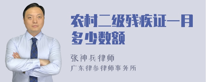 农村二级残疾证一月多少数额