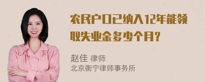 农民户口已纳入12年能领取失业金多少个月？