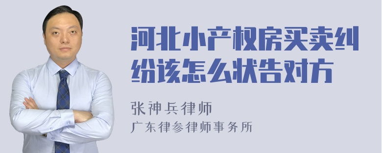 河北小产权房买卖纠纷该怎么状告对方