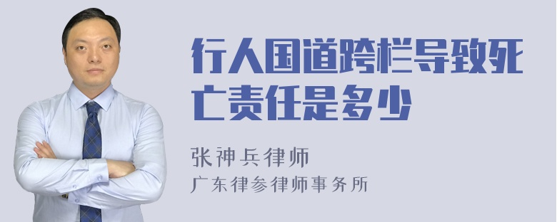 行人国道跨栏导致死亡责任是多少