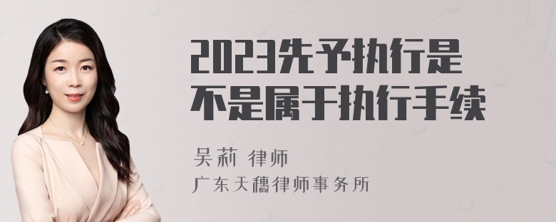 2023先予执行是不是属于执行手续