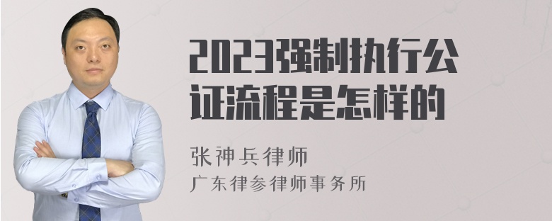 2023强制执行公证流程是怎样的