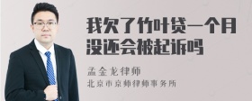 我欠了竹叶贷一个月没还会被起诉吗