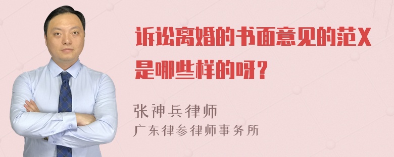 诉讼离婚的书面意见的范X是哪些样的呀？