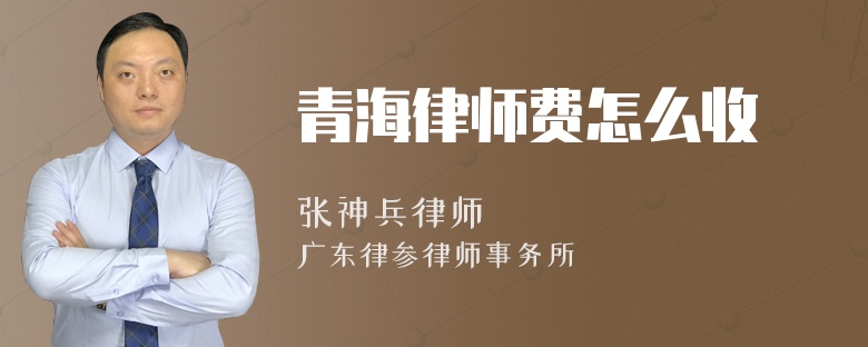 青海律师费怎么收
