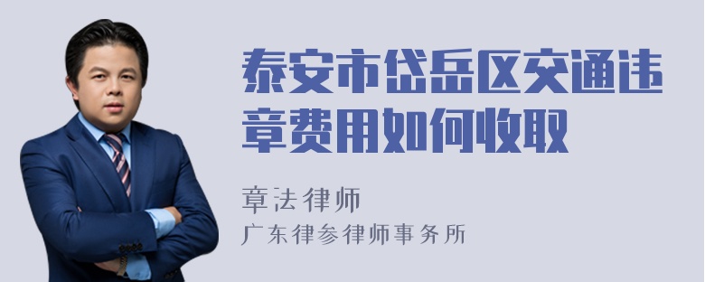 泰安市岱岳区交通违章费用如何收取