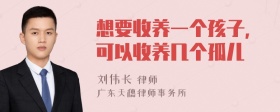 想要收养一个孩子，可以收养几个孤儿