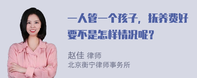 一人管一个孩子，抚养费好要不是怎样情况呢？