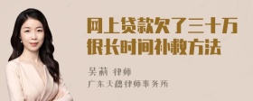 网上贷款欠了三十万很长时间补救方法