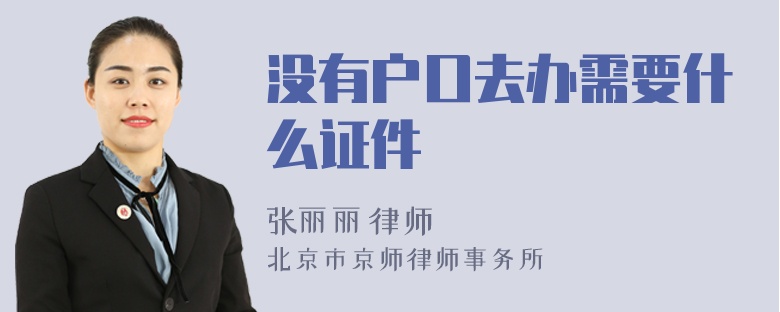 没有户口去办需要什么证件