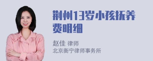 荆州13岁小孩抚养费明细