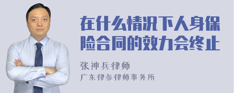 在什么情况下人身保险合同的效力会终止