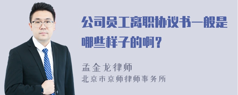 公司员工离职协议书一般是哪些样子的啊？