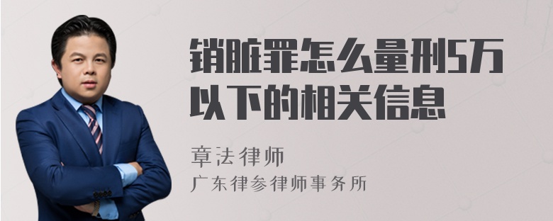 销脏罪怎么量刑5万以下的相关信息