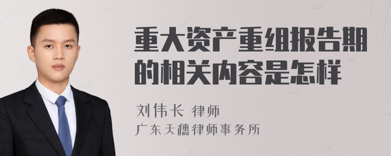 重大资产重组报告期的相关内容是怎样