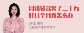 网络贷款欠了二十万好几个月该怎么办