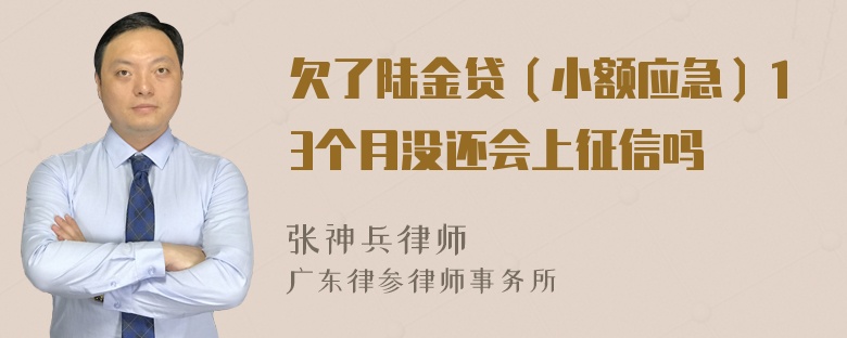 欠了陆金贷（小额应急）13个月没还会上征信吗