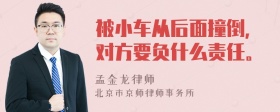 被小车从后面撞倒，对方要负什么责任。