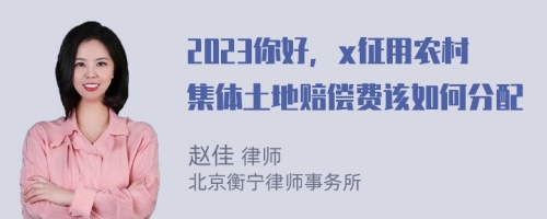 2023你好，x征用农村集体土地赔偿费该如何分配