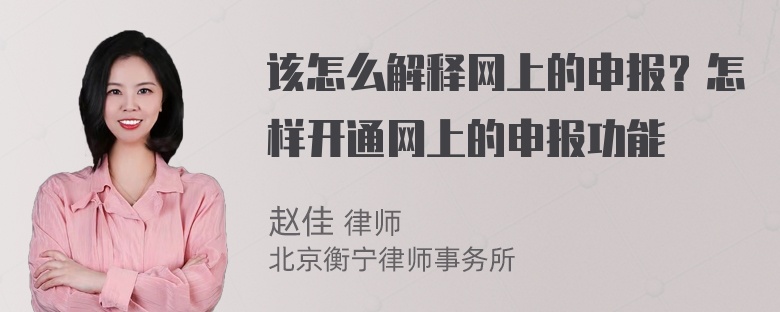 该怎么解释网上的申报？怎样开通网上的申报功能