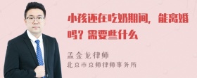 小孩还在吃奶期间，能离婚吗？需要些什么