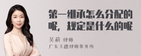 第一继承怎么分配的呢，规定是什么的呢