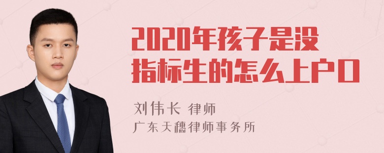 2020年孩子是没指标生的怎么上户口